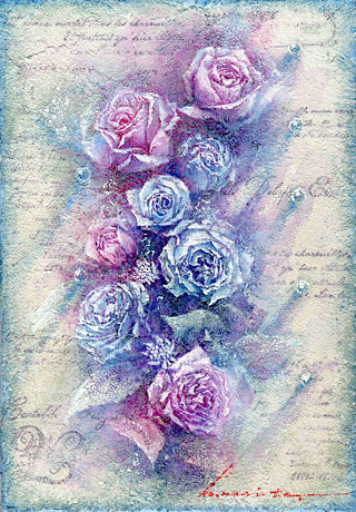 淡いブルーとピンクの薔薇